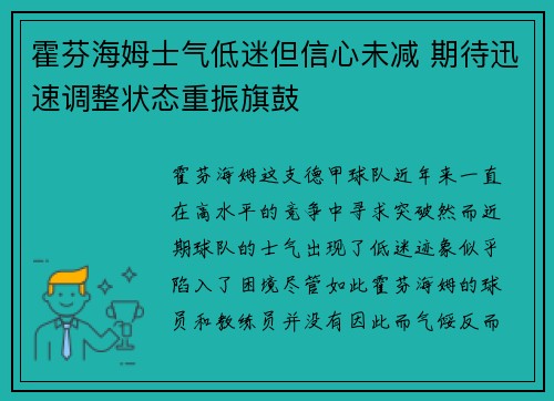 霍芬海姆士气低迷但信心未减 期待迅速调整状态重振旗鼓